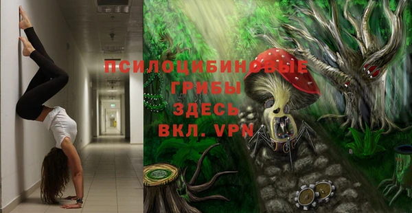 мяу мяу мука Каменногорск